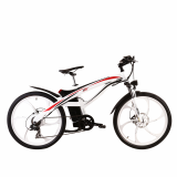 Electric Bike  TDE01